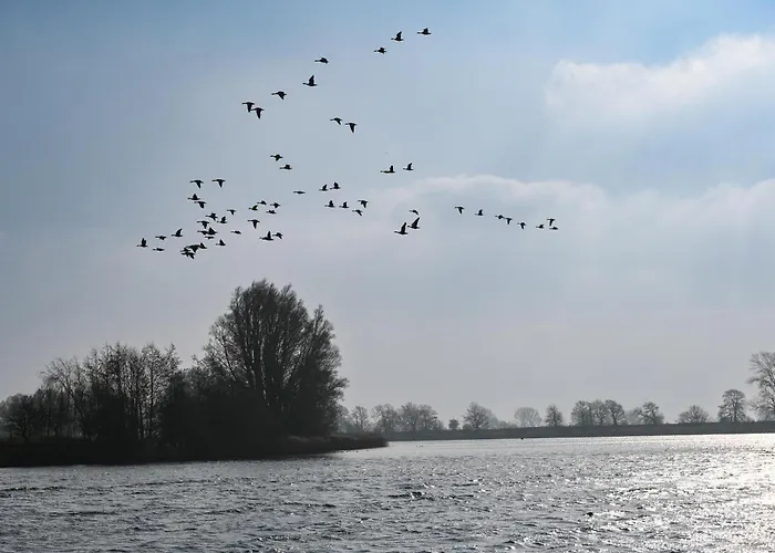 - Eidernest 2 Vakantiehuis *